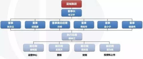 蓝城文旅与农业 运营模式 盈利模式及组织架构全图